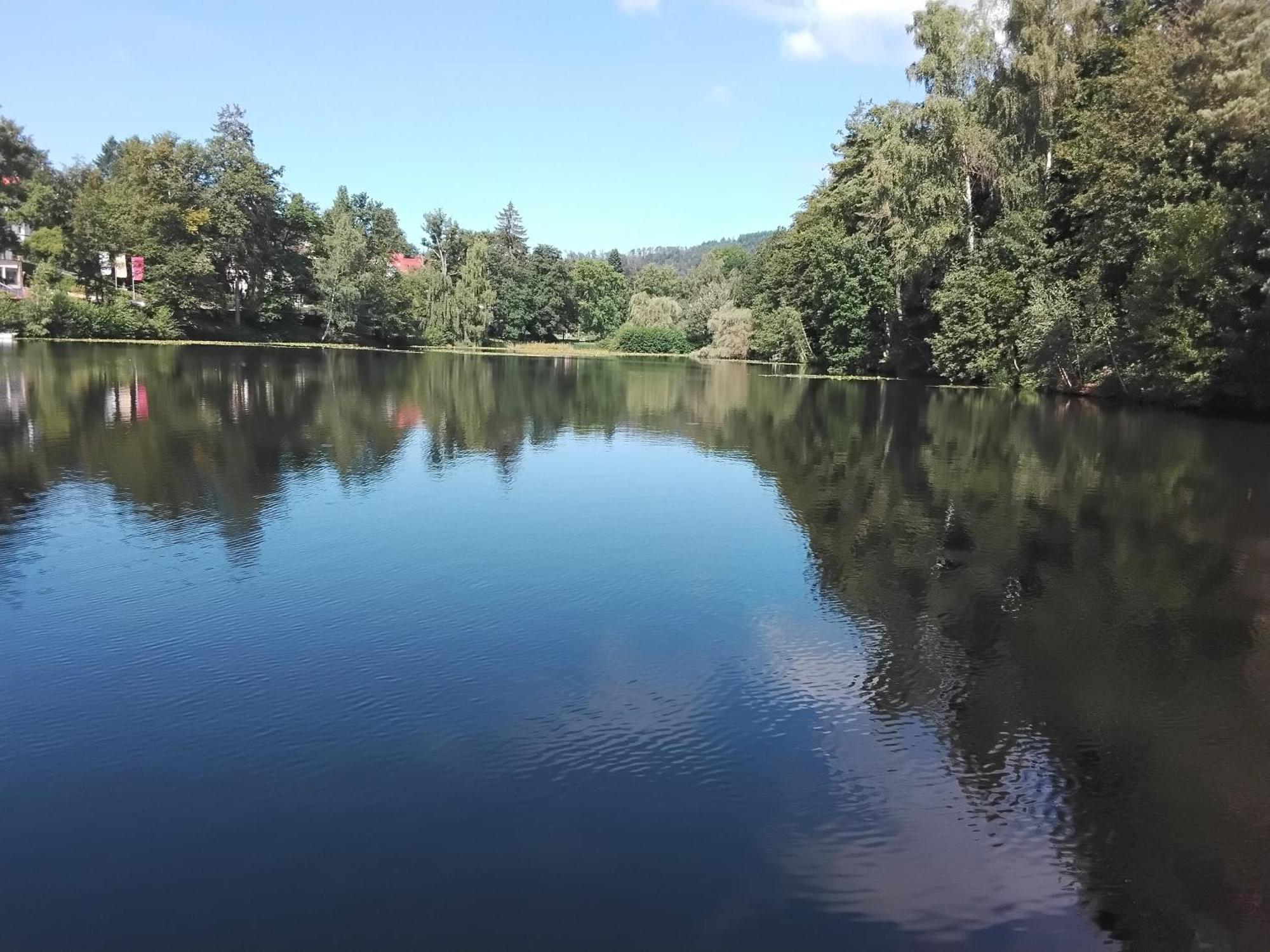 Hochwald Ensuite Bad Sachsa Dış mekan fotoğraf