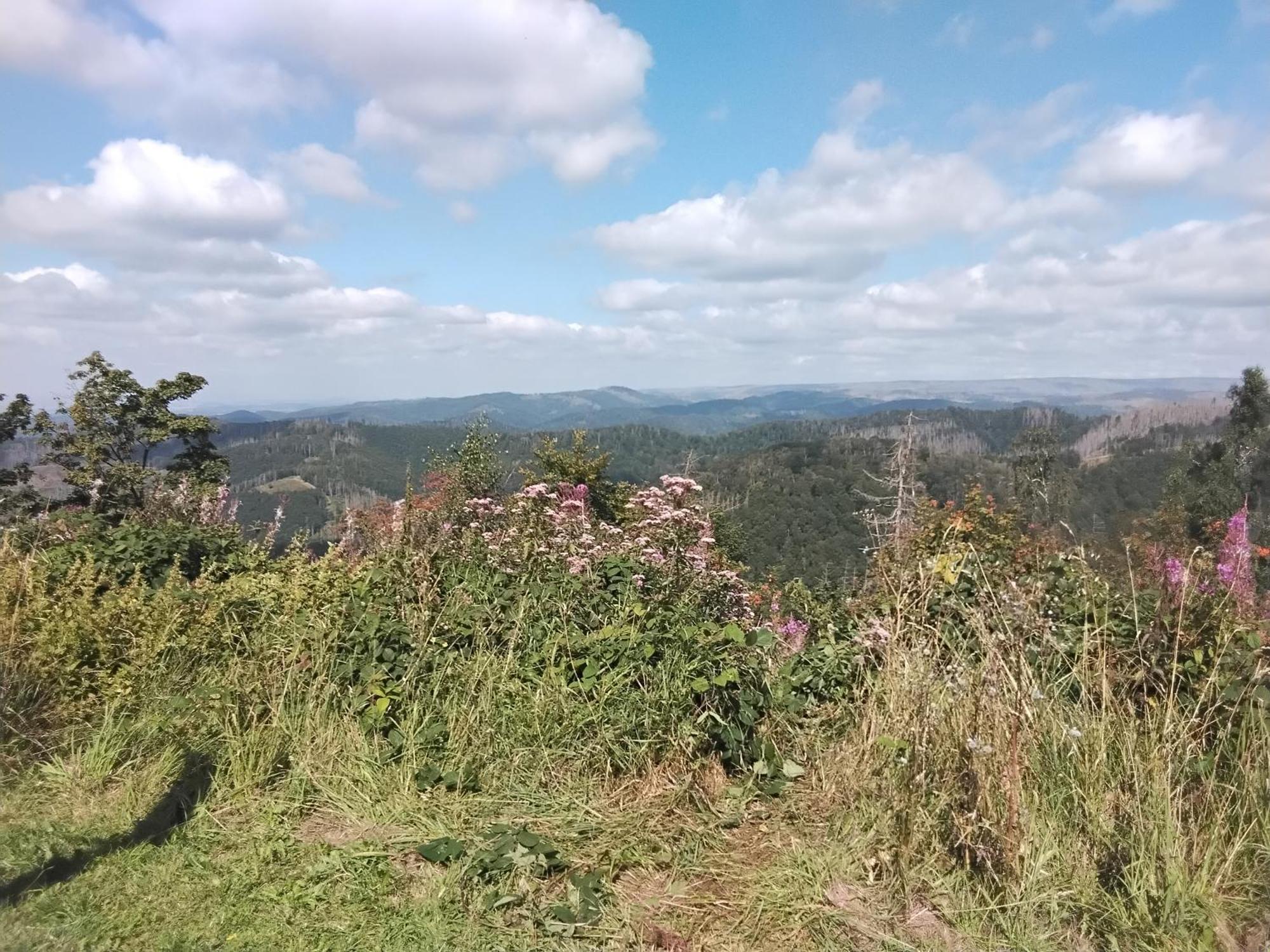 Hochwald Ensuite Bad Sachsa Dış mekan fotoğraf