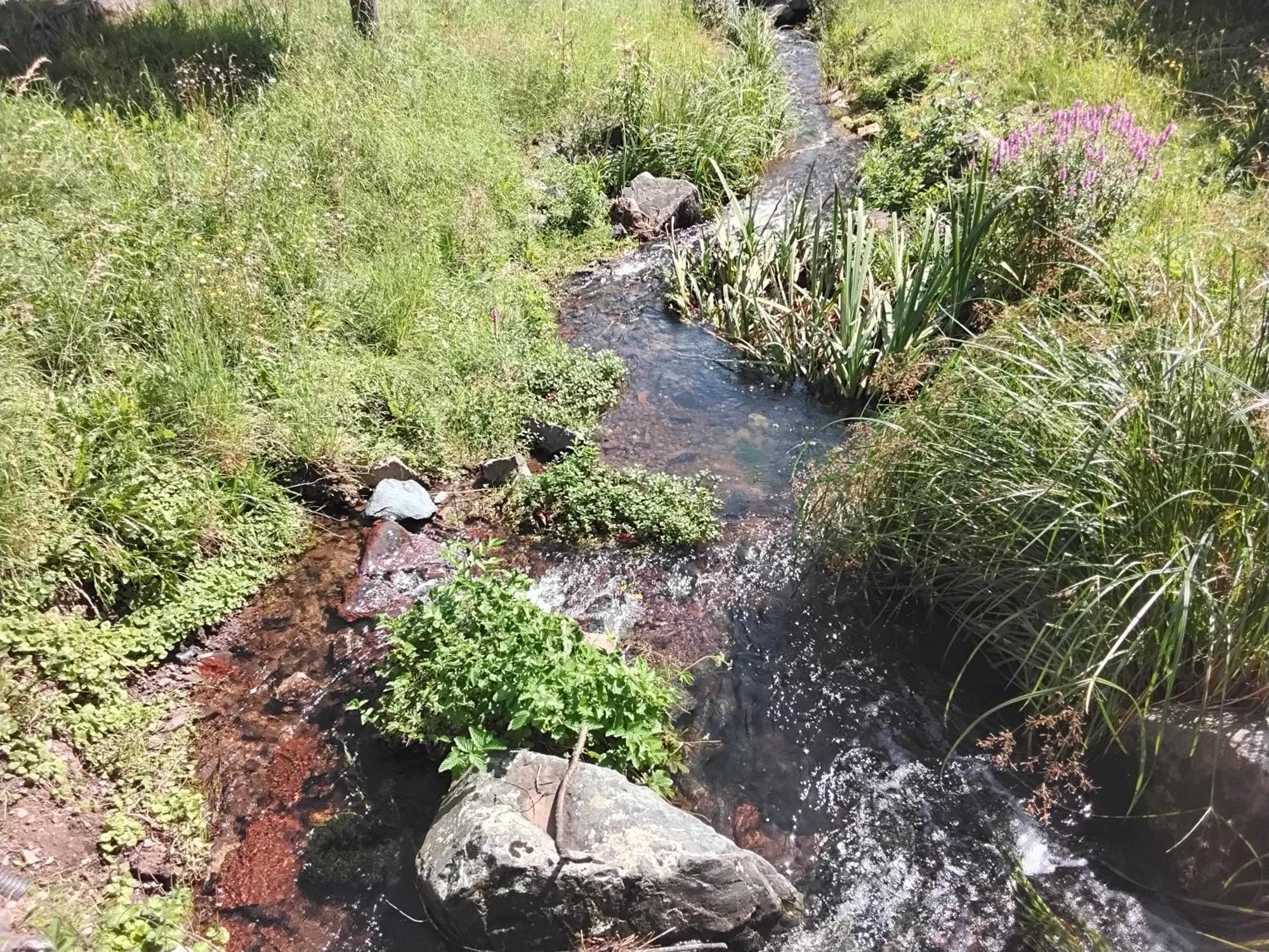 Hochwald Ensuite Bad Sachsa Dış mekan fotoğraf