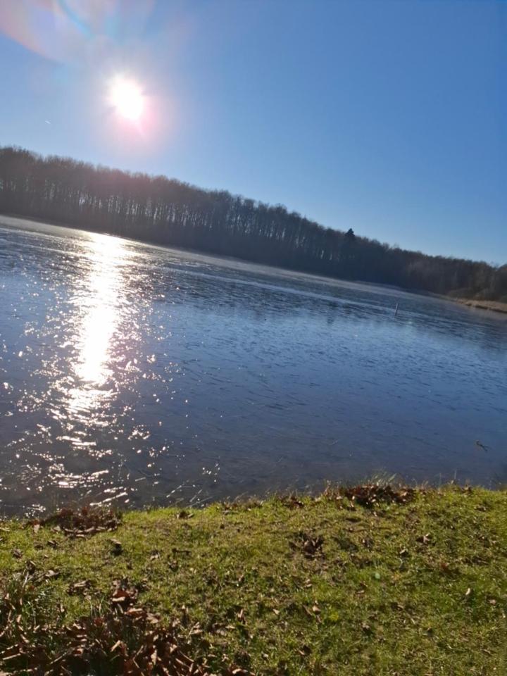 Hochwald Ensuite Bad Sachsa Dış mekan fotoğraf